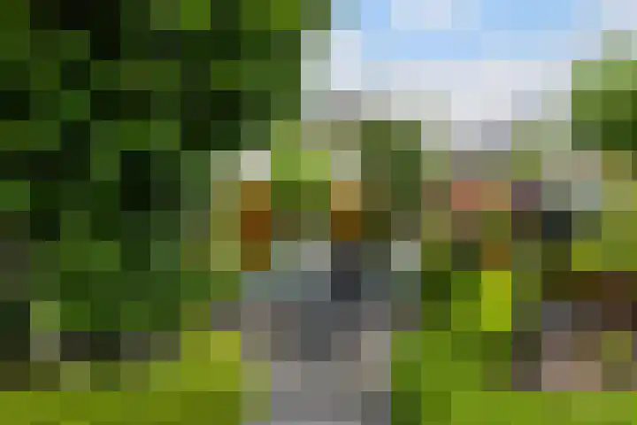 Mienskar 16 Stiens foto 3