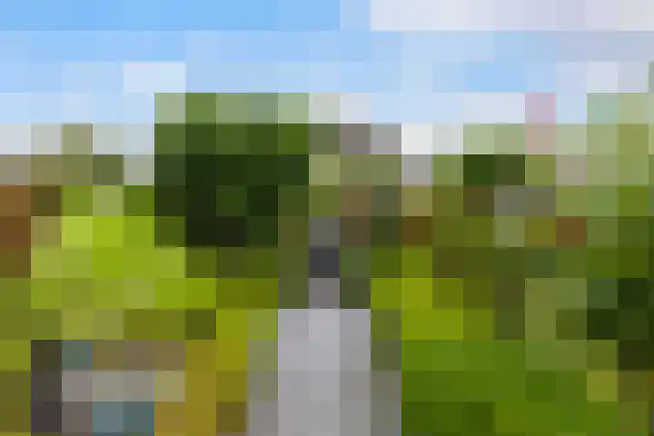 Mienskar 16 Stiens thumbnail 38