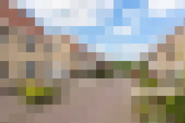 Mienskar 16 Stiens thumbnail 4