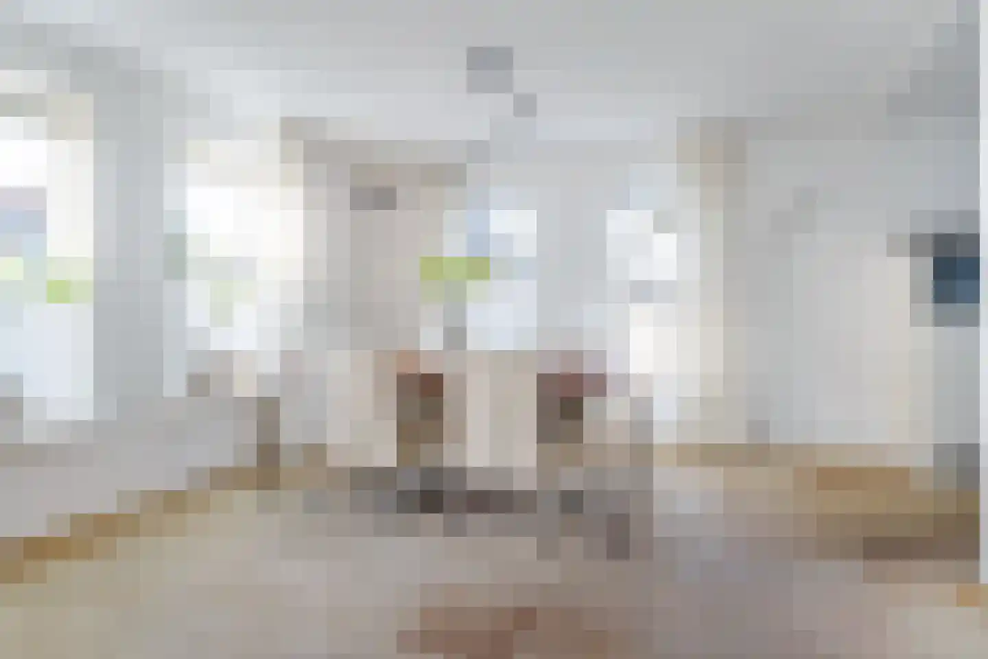 Mienskar 24 Stiens thumbnail 14