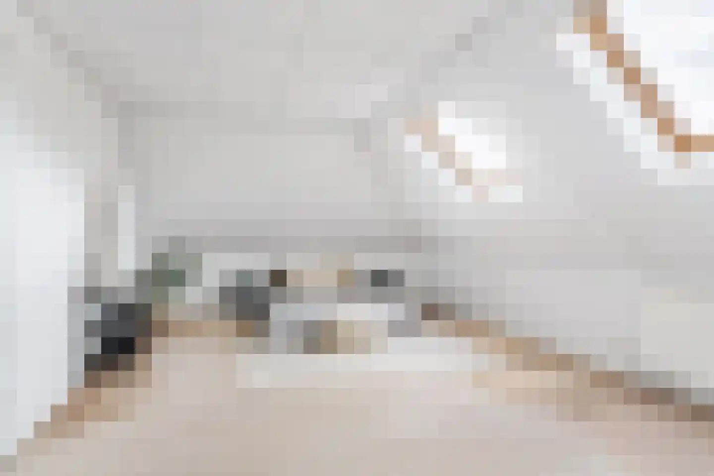 Mienskar 24 Stiens thumbnail 40