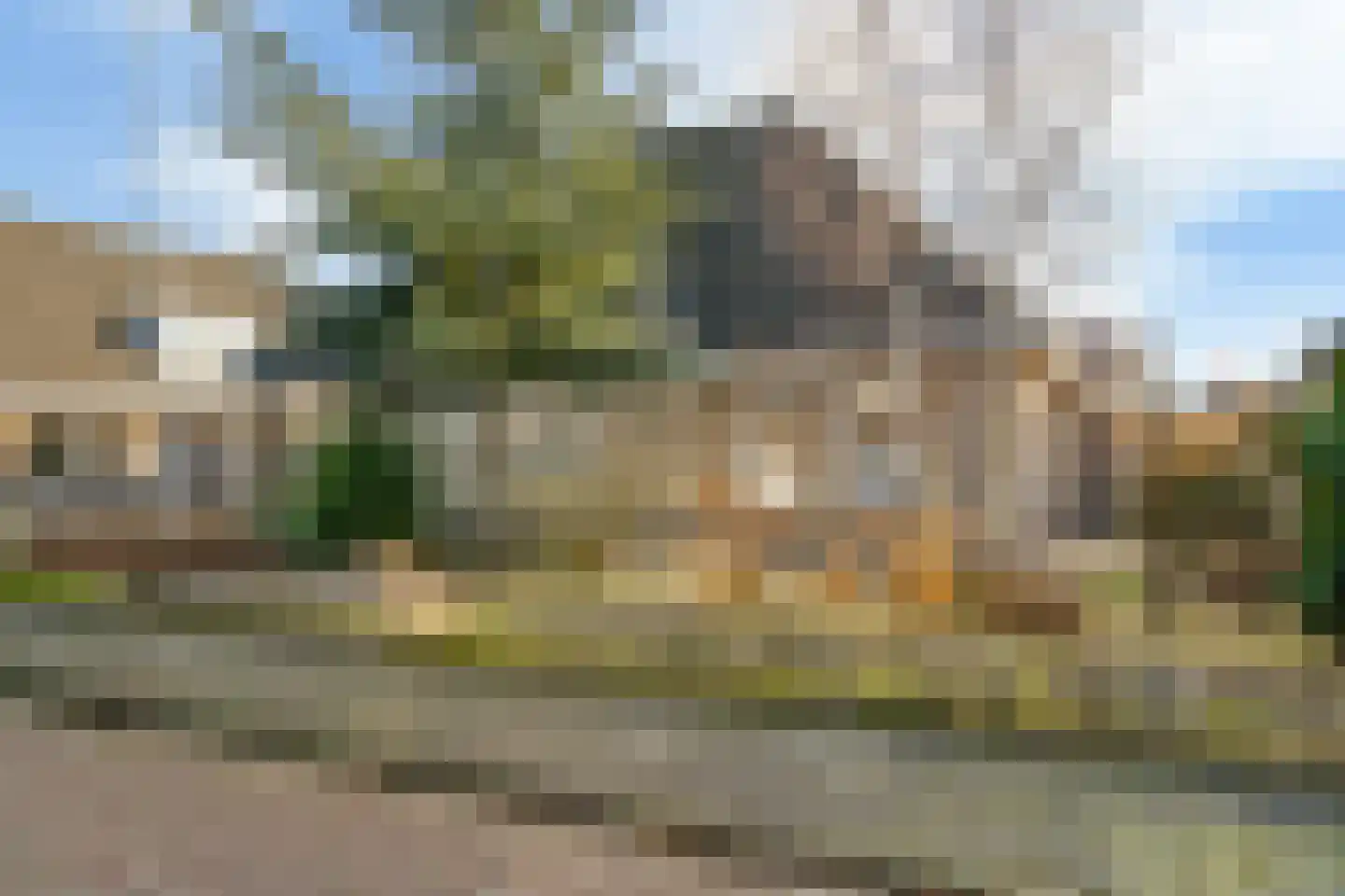 Mienskar 24 Stiens thumbnail 6