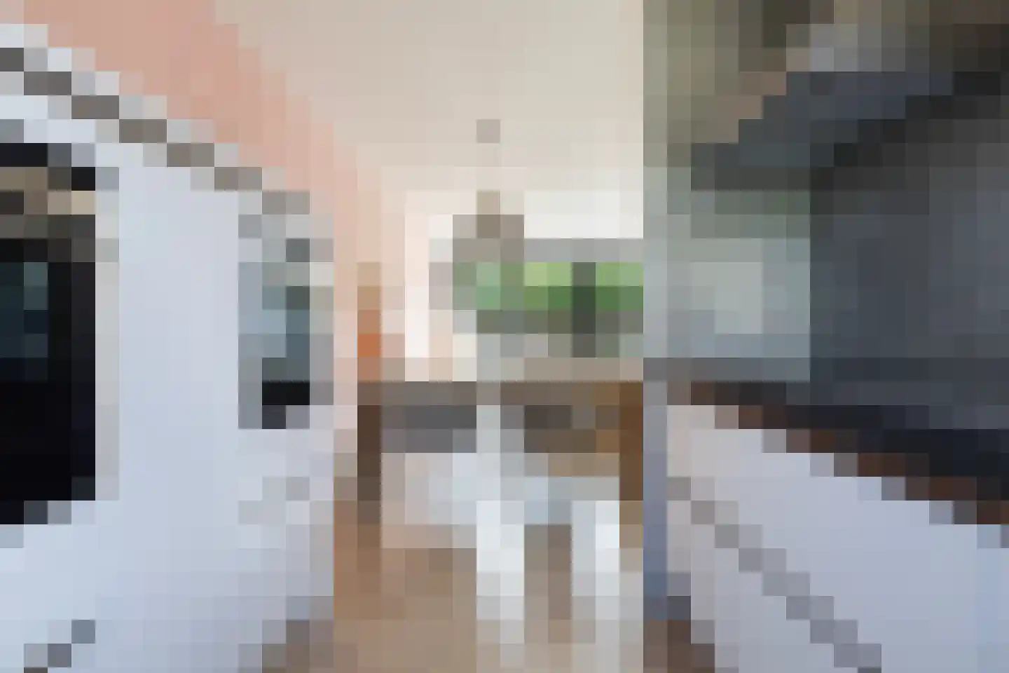 Mienskar 6 Stiens thumbnail 12