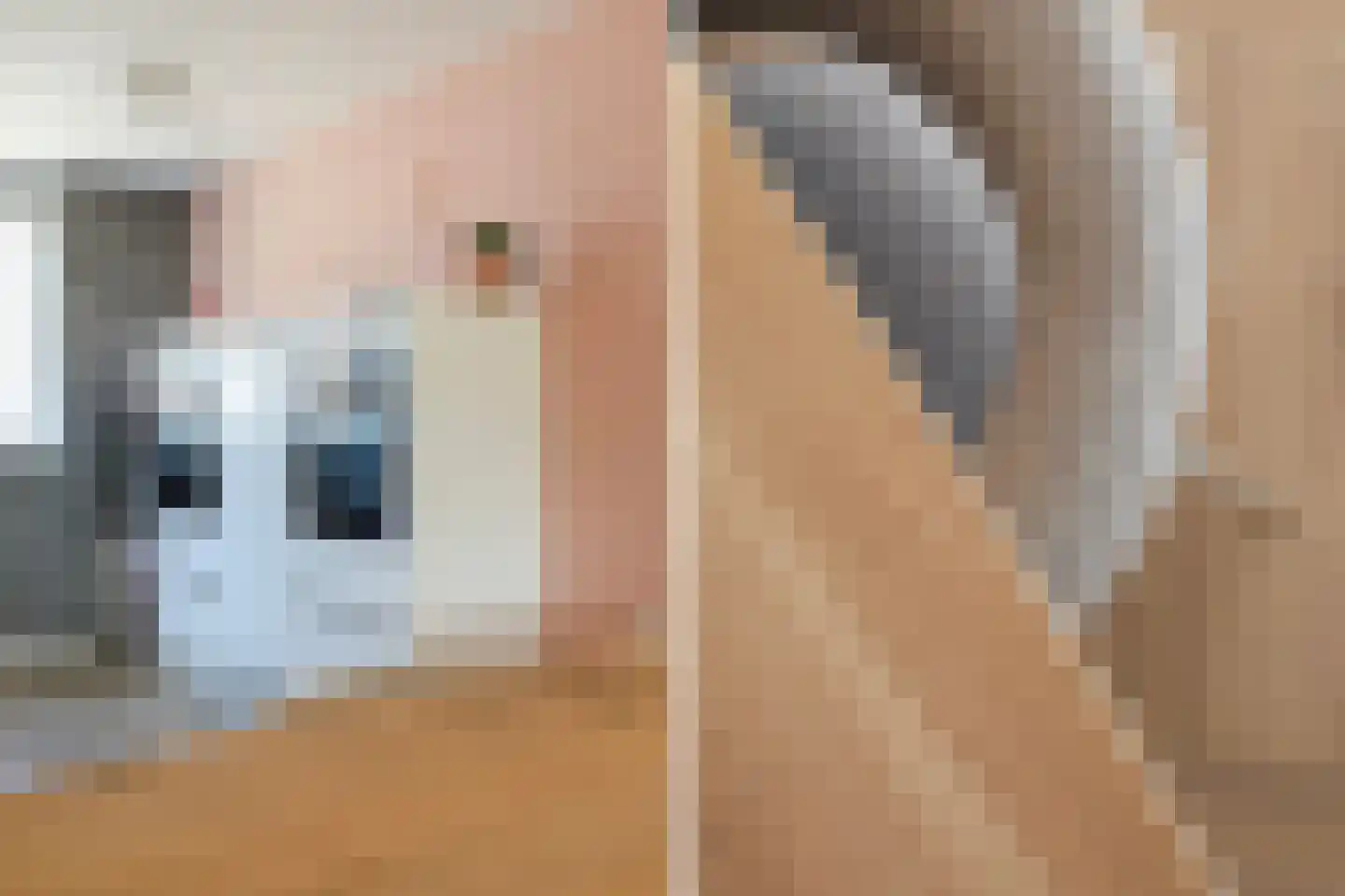 Mienskar 6 Stiens thumbnail 13