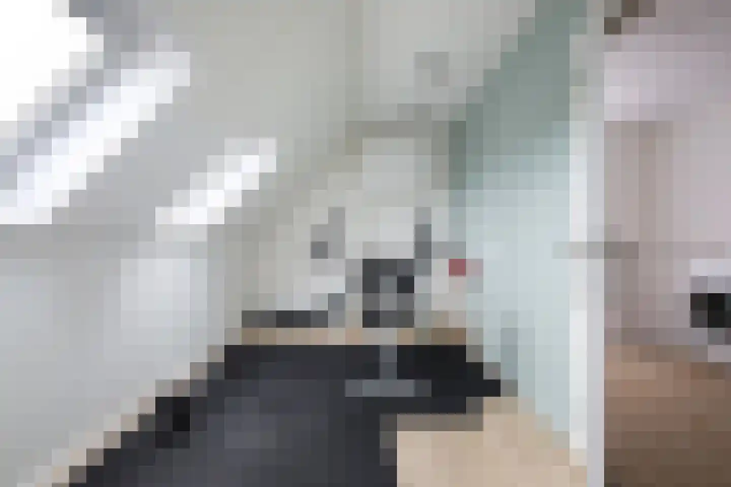 Mienskar 6 Stiens thumbnail 32