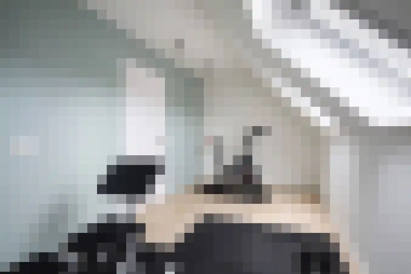 Mienskar 6 Stiens thumbnail 33