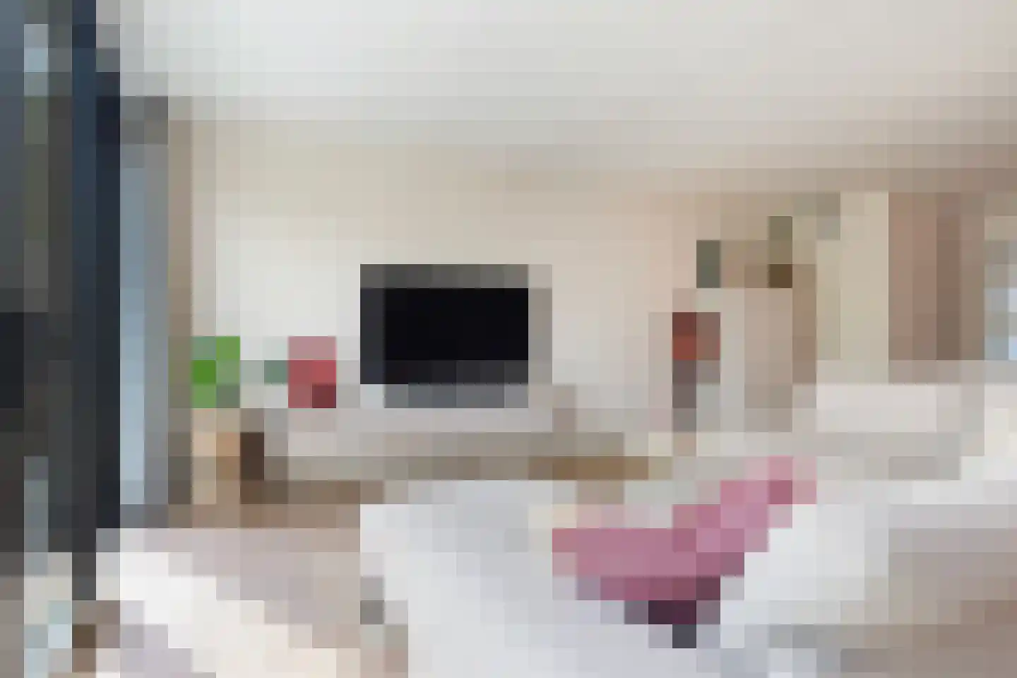 Mienskar 6 Stiens thumbnail 5