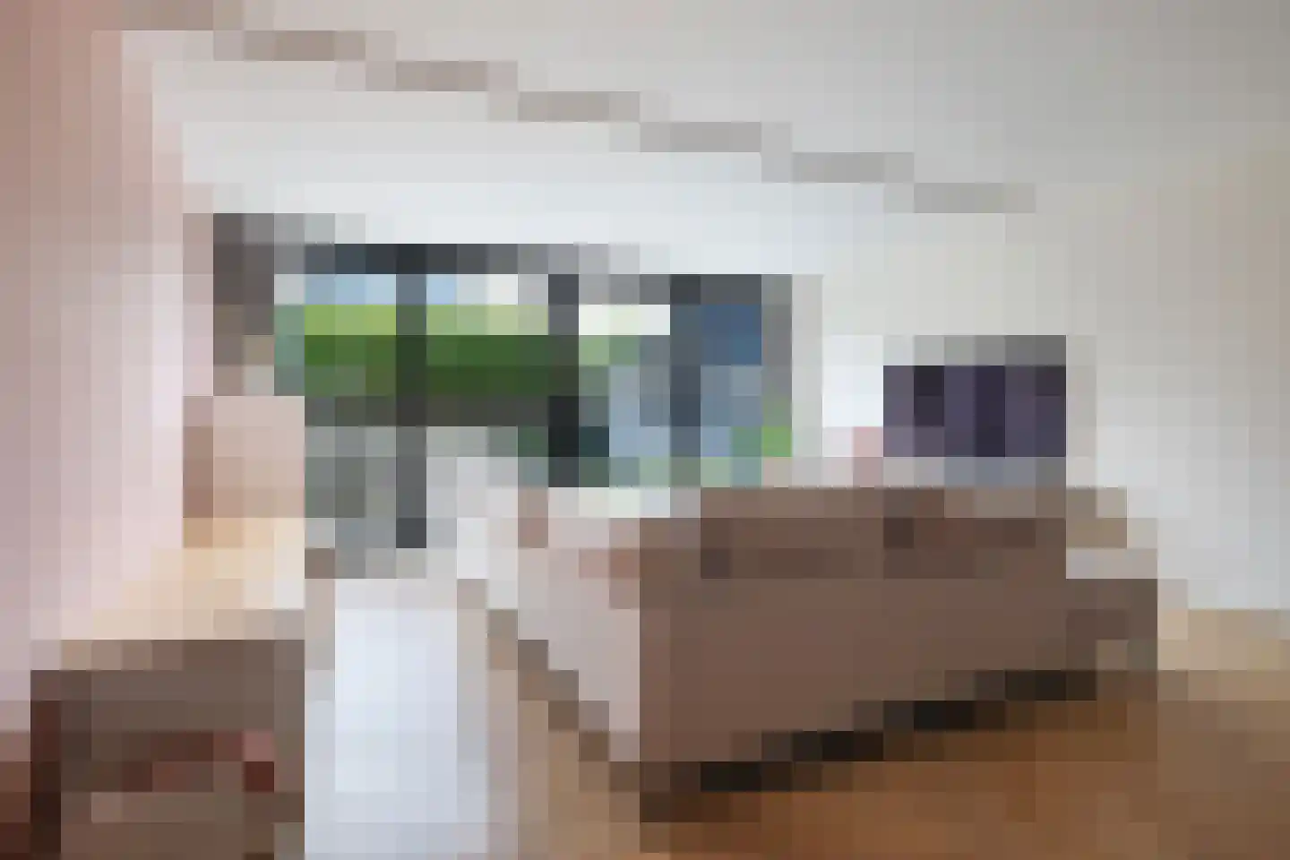 Mienskar 6 Stiens thumbnail 7