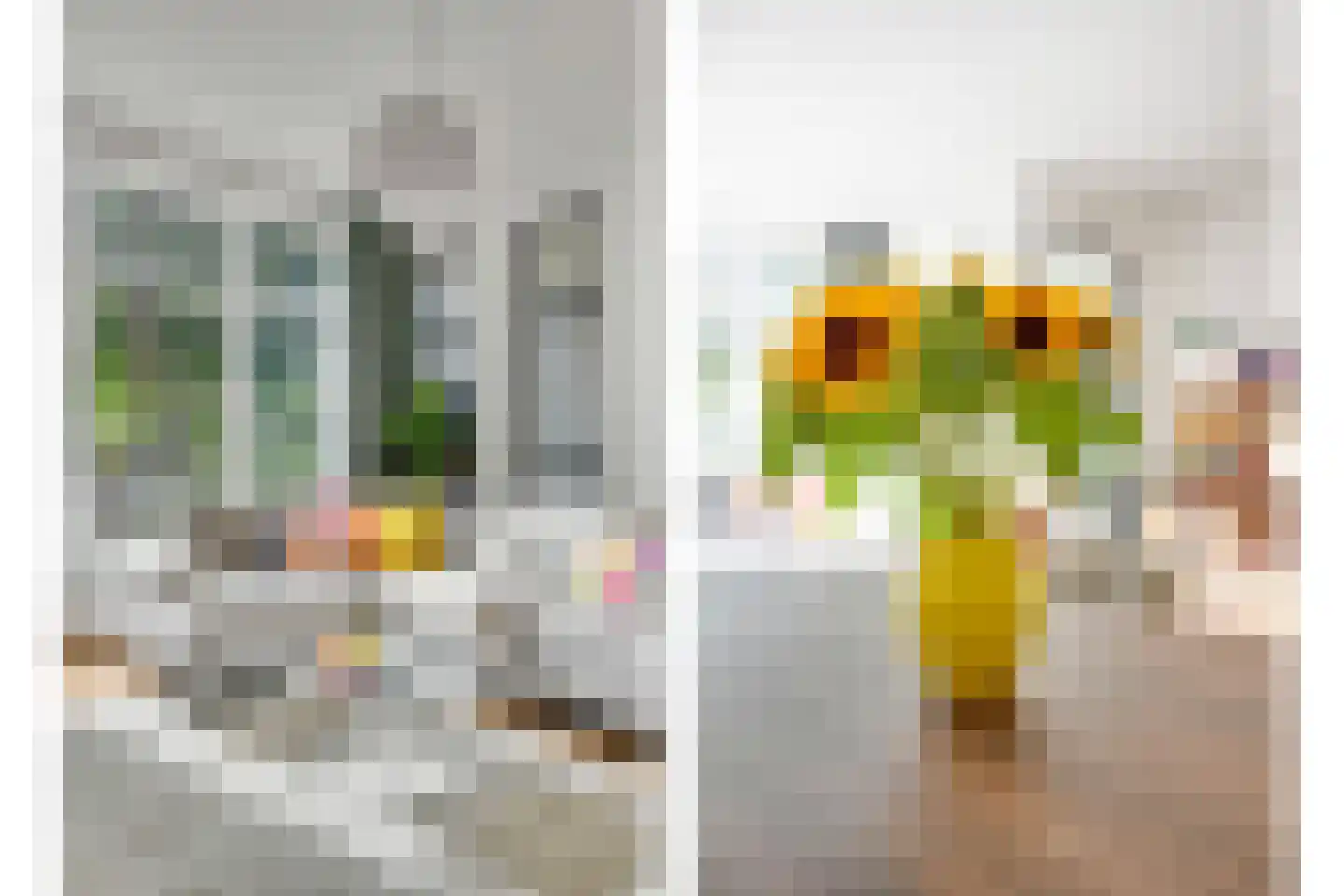 Mient 101 Den Haag thumbnail 10