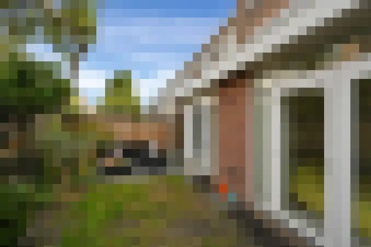Mient 101 Den Haag thumbnail 26