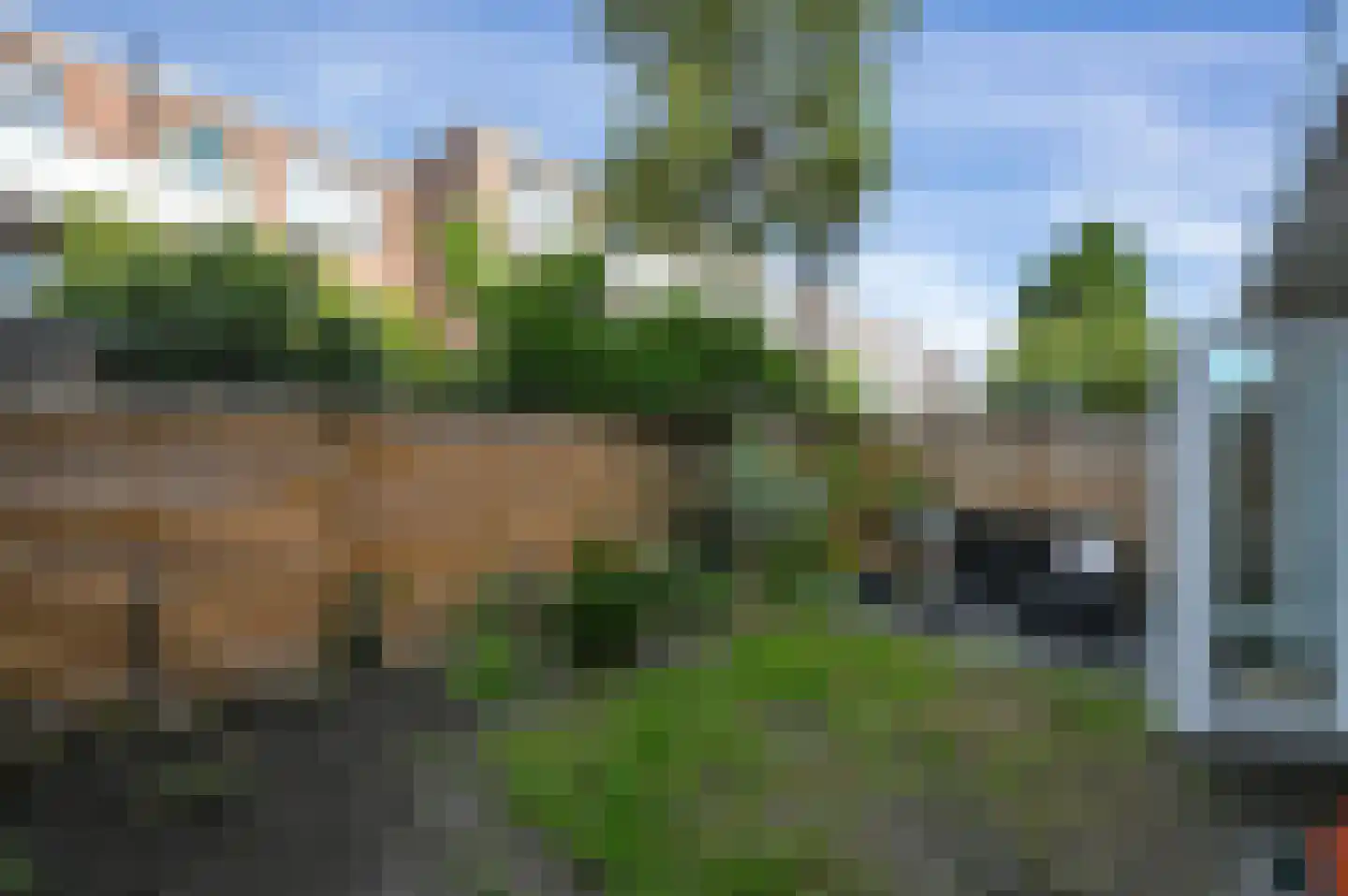 Mient 101 Den Haag thumbnail 27