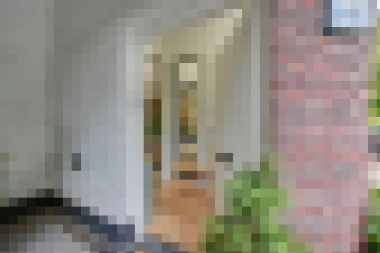 Mient 101 Den Haag thumbnail 29