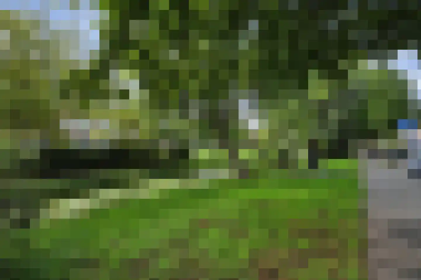 Mient 101 Den Haag thumbnail 33