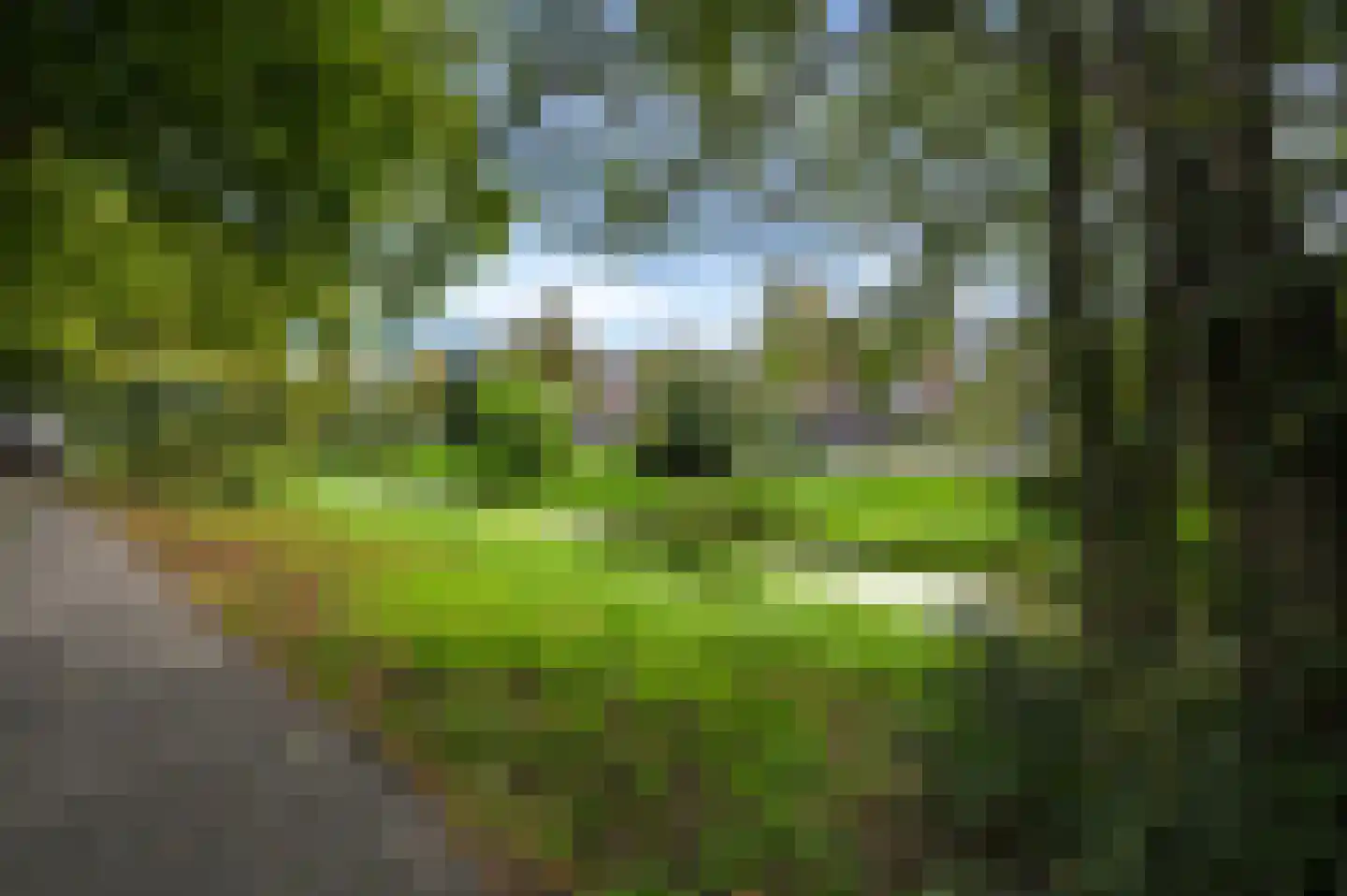 Mient 101 Den Haag thumbnail 34