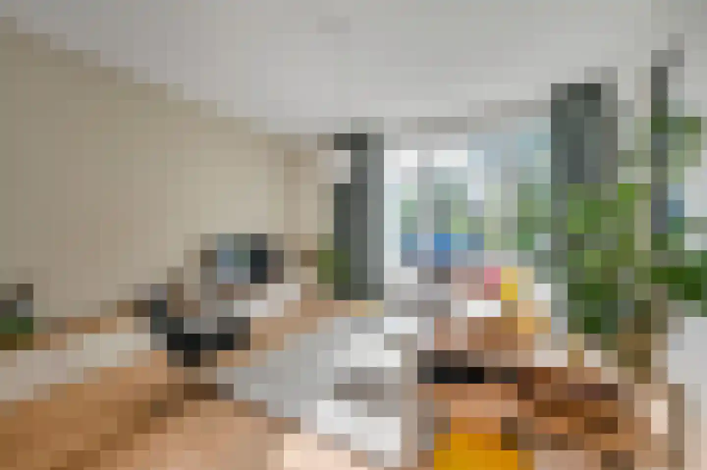 Mient 101 Den Haag thumbnail 6