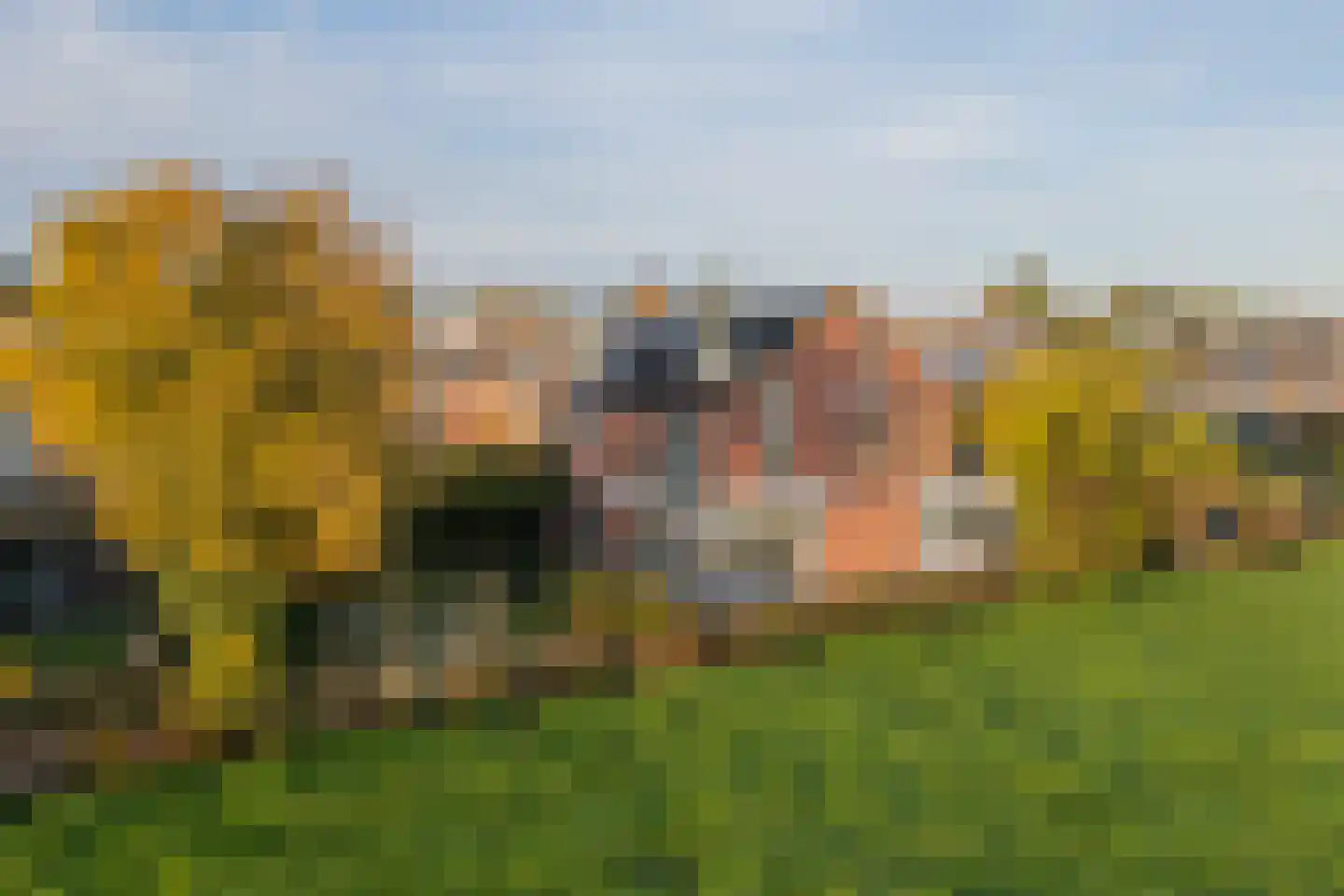 Mient 102 in Vijfhuizen