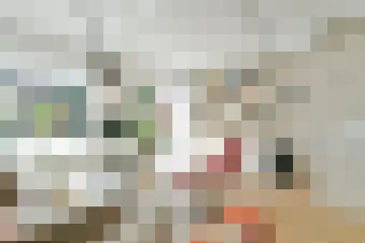 Mient 104 Vijfhuizen thumbnail 16