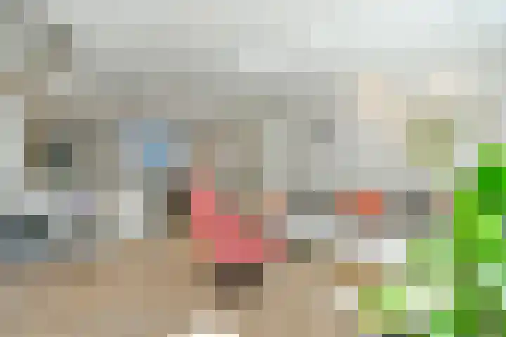 Mient 104 Vijfhuizen thumbnail 17
