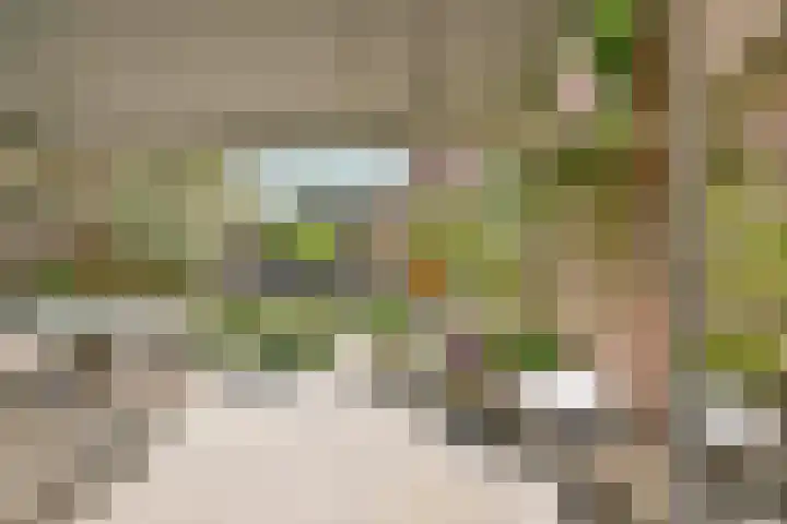 Mient 104 Vijfhuizen thumbnail 19