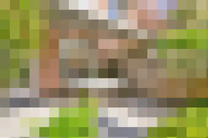 Mient 104 Vijfhuizen thumbnail 20
