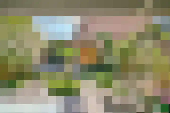 Mient 104 Vijfhuizen thumbnail 21