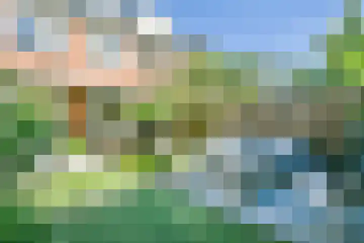 Mient 104 Vijfhuizen thumbnail 22