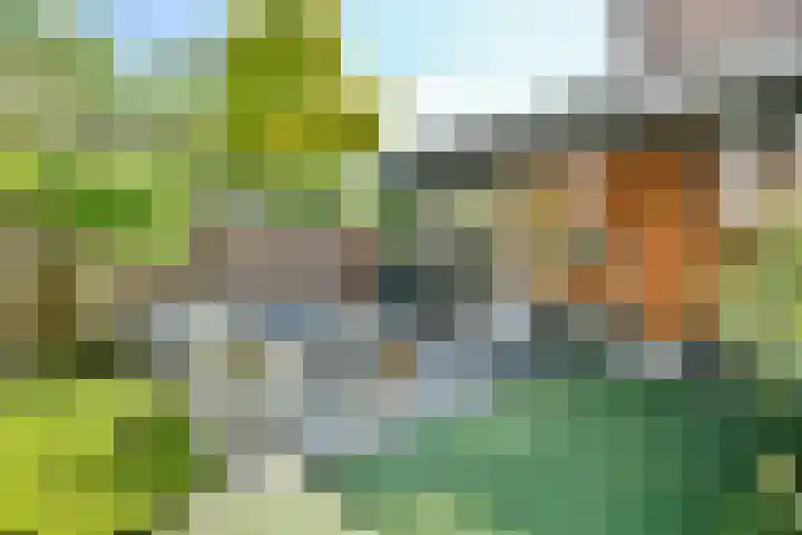 Mient 104 Vijfhuizen thumbnail 23