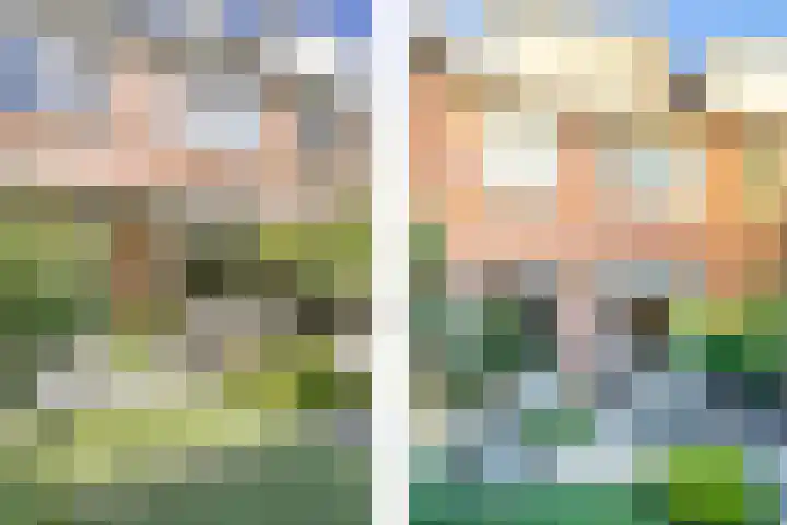 Mient 104 Vijfhuizen thumbnail 26