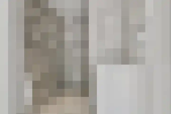 Mient 104 Vijfhuizen thumbnail 30