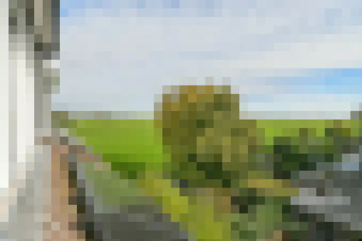 Mient 104 Vijfhuizen thumbnail 37