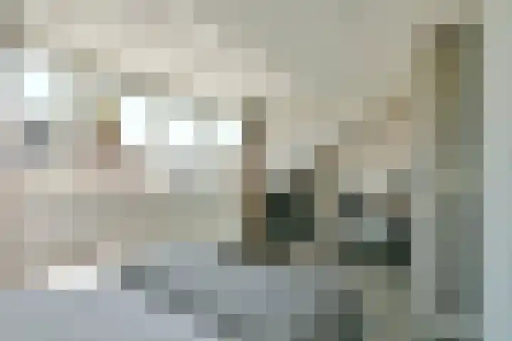 Mient 104 Vijfhuizen thumbnail 37
