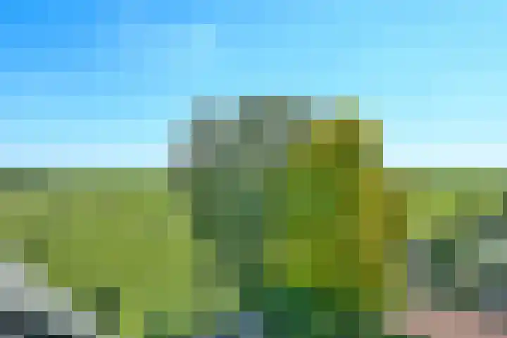 Mient 104 Vijfhuizen thumbnail 38