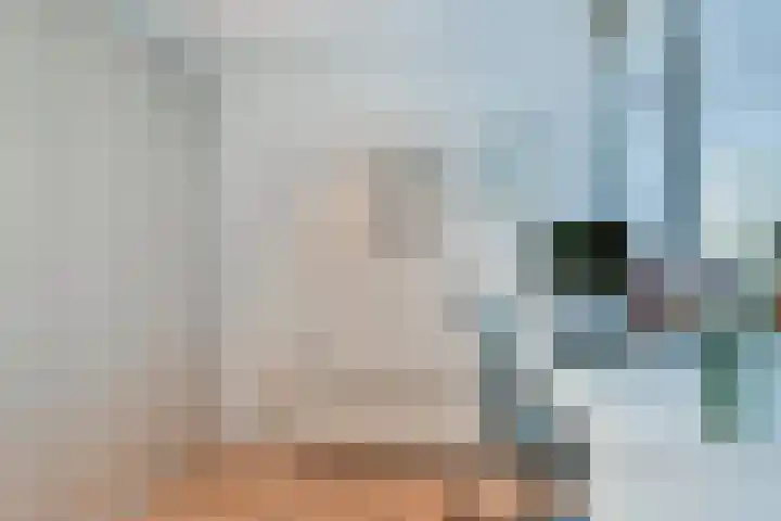 Mient 104 Vijfhuizen thumbnail 4