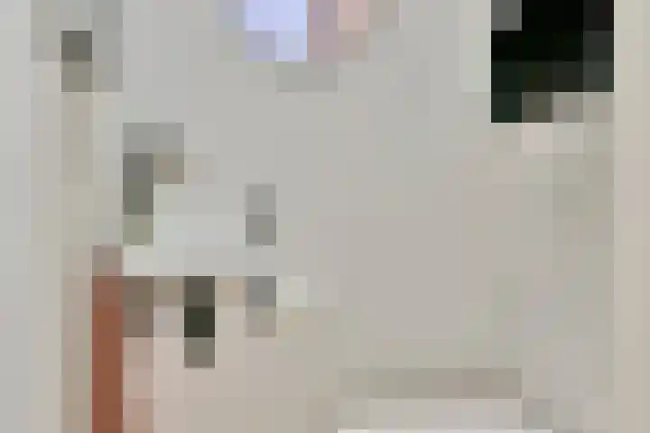 Mient 104 Vijfhuizen thumbnail 7