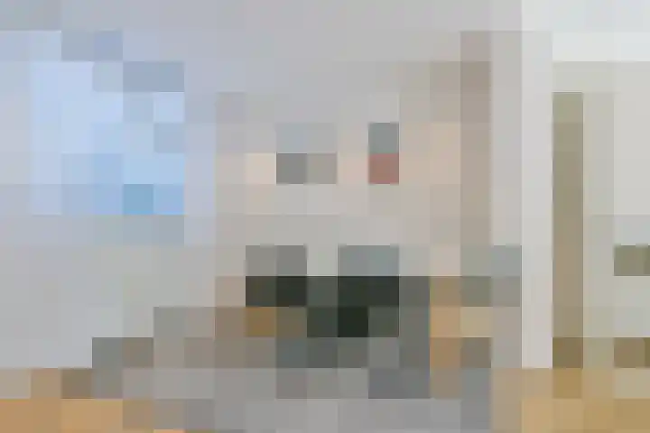 Mient 104 Vijfhuizen thumbnail 8