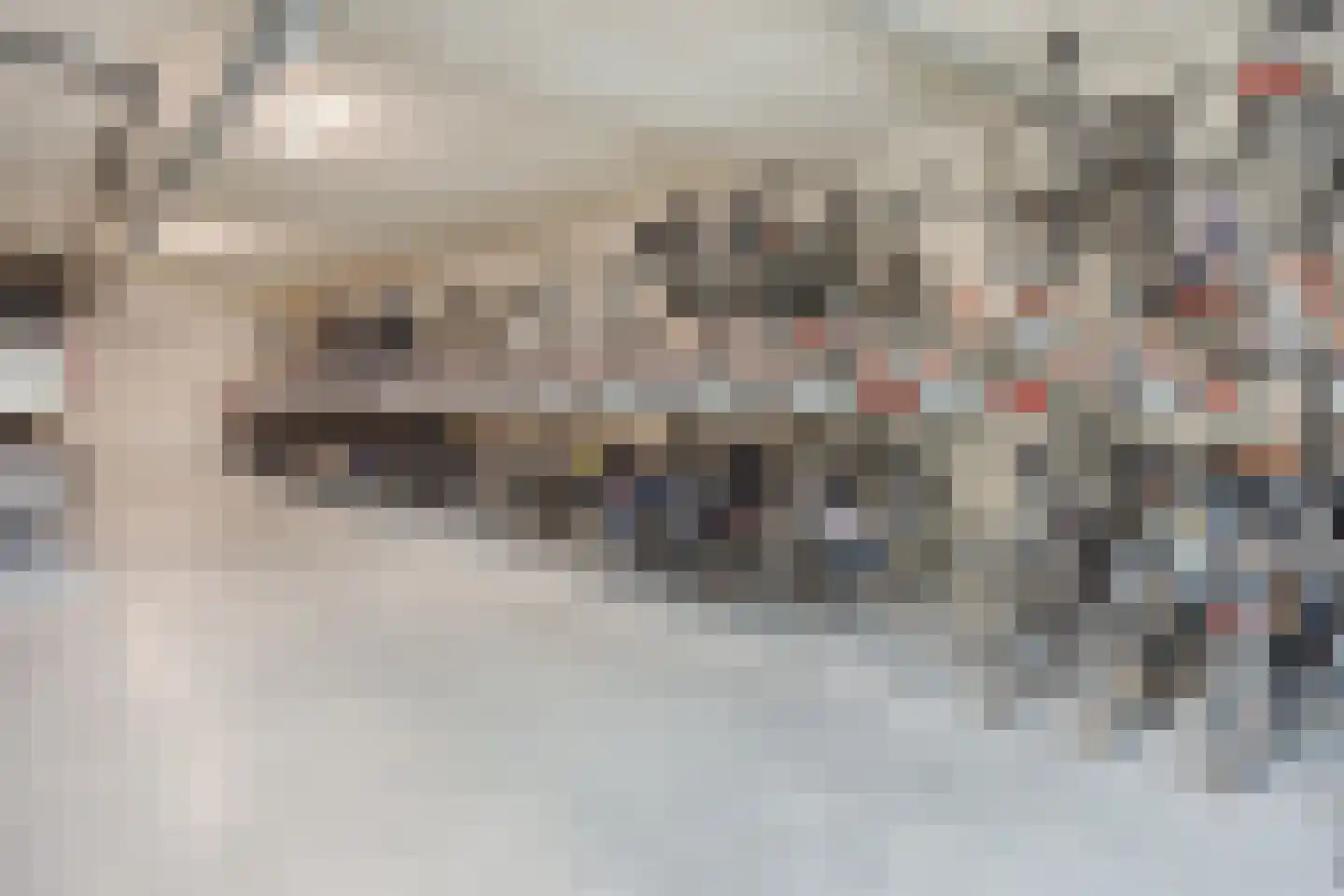 Mient 106 Capelle aan den IJssel thumbnail 24