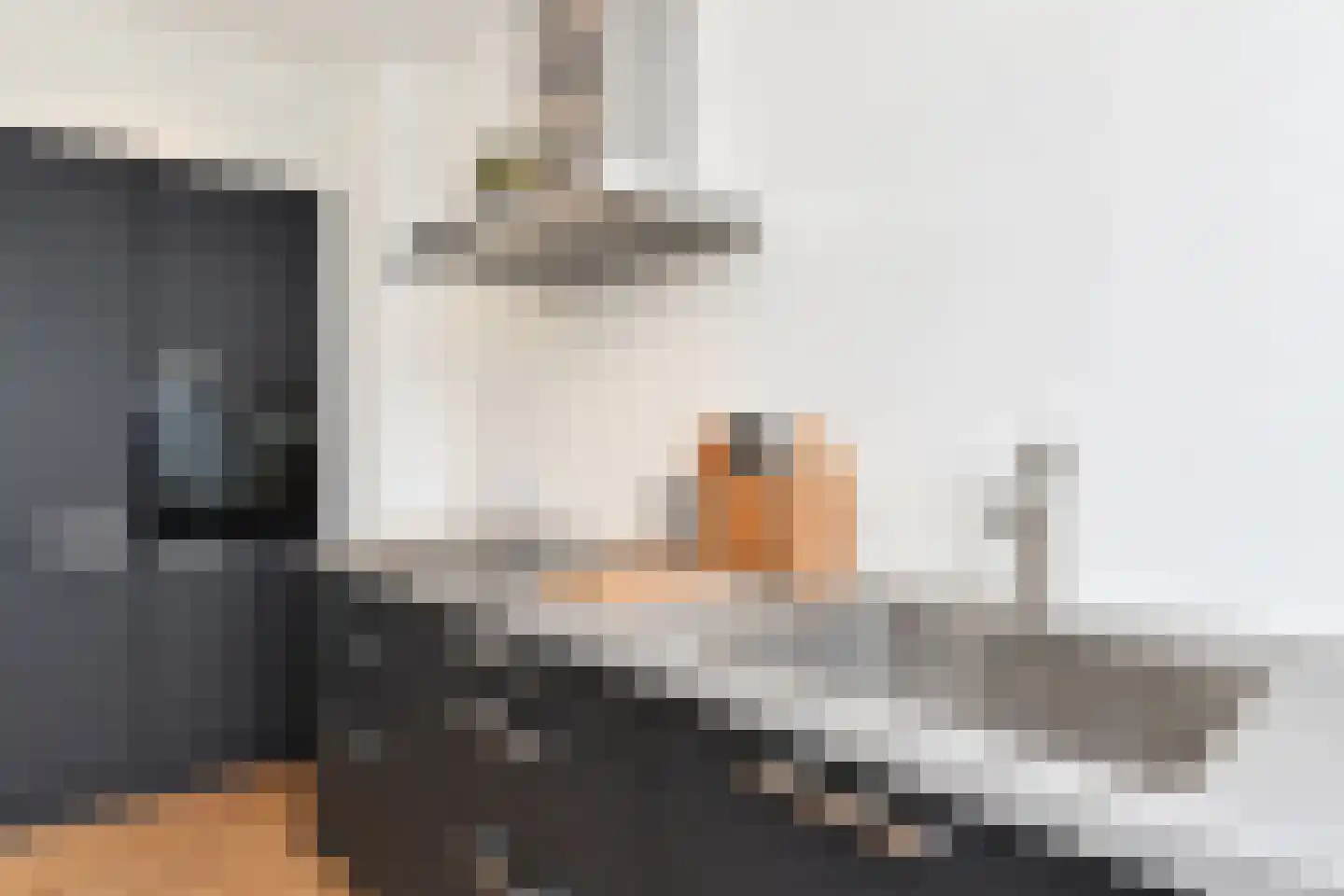 Mient 106 Den Haag thumbnail 15