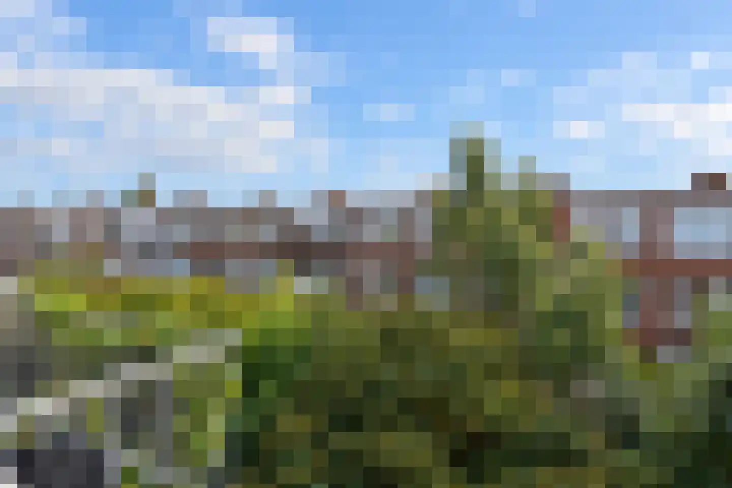 Mient 106 Den Haag thumbnail 18