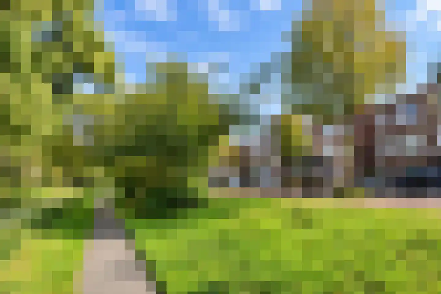 Mient 106 Den Haag thumbnail 35