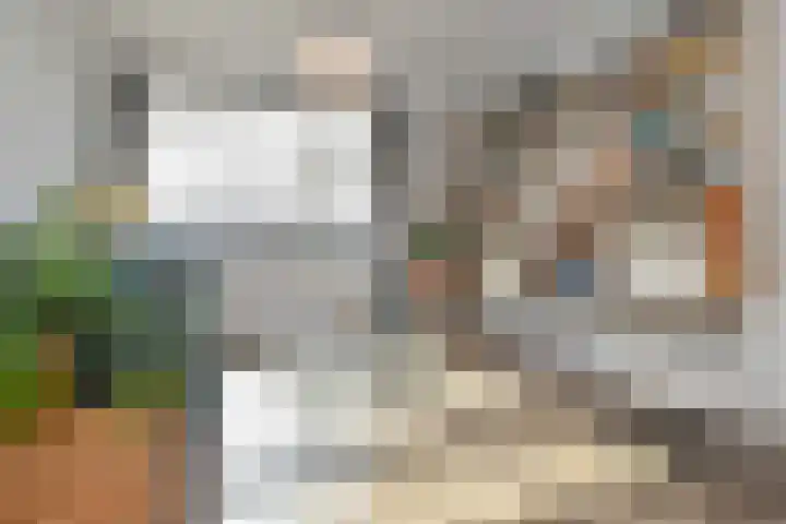 Mient 11 Den Haag thumbnail 10