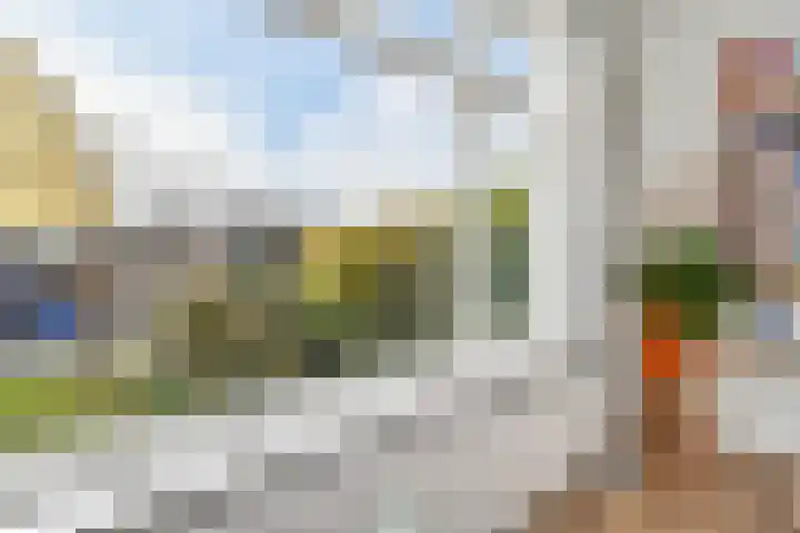 Mient 11 Den Haag thumbnail 12