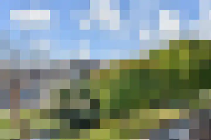 Mient 11 Den Haag thumbnail 13