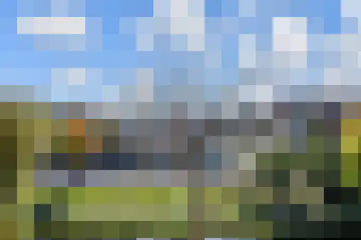 Mient 11 Den Haag thumbnail 14