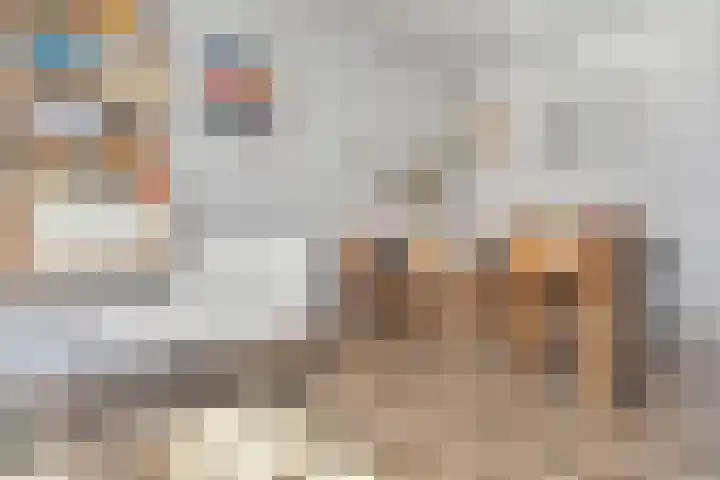 Mient 11 Den Haag thumbnail 18