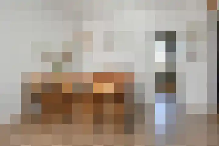 Mient 11 Den Haag thumbnail 19