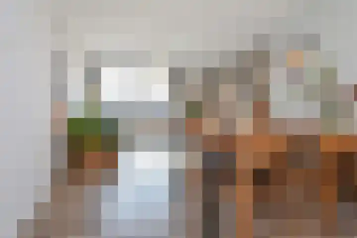 Mient 11 Den Haag foto 2