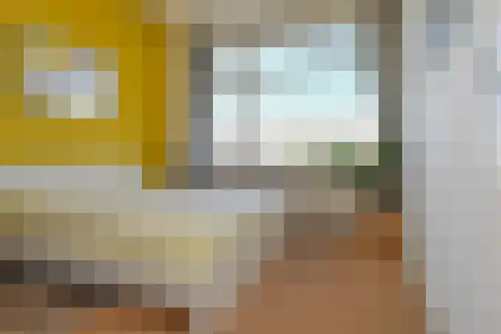 Mient 11 Den Haag thumbnail 20