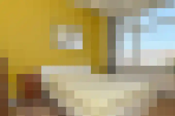 Mient 11 Den Haag thumbnail 21