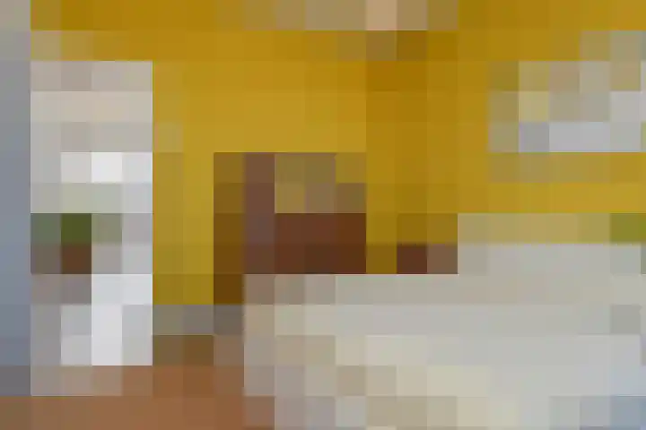 Mient 11 Den Haag thumbnail 22