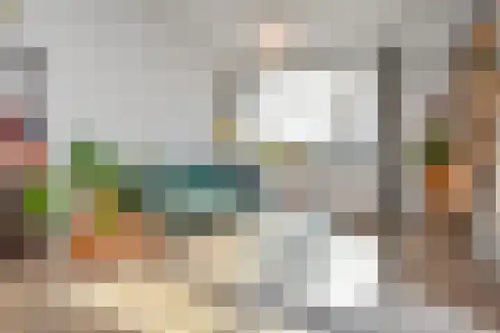 Mient 11 Den Haag thumbnail 23
